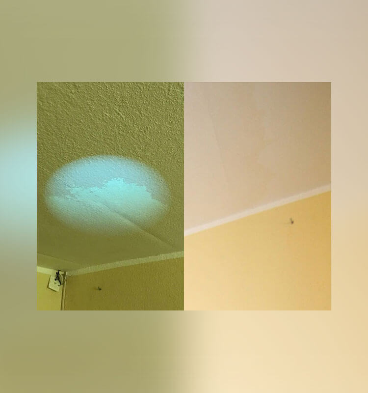 Ein Bild zweigeteilt wo links mit der UV-Lampe geleuchtet wird um den Schimmel erkennbar zu machen und rechts der Vergleich wie man den Schimmel ohne Lampe nicht sieht