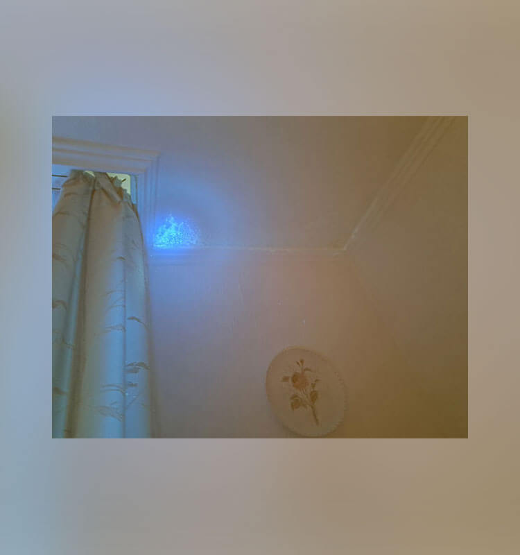 Schimmel an der Decke wird sichtbar gemacht dank einer UV Lampe