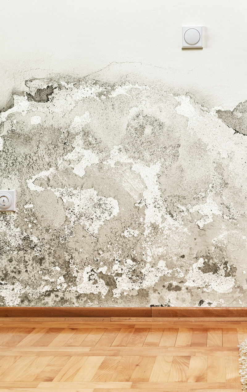Eine Wand die schimmelt